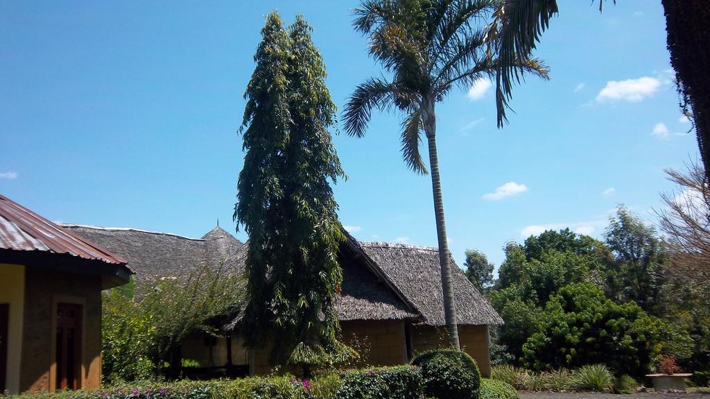 Kilimanjaro Eco Lodge Usa River Ngoại thất bức ảnh